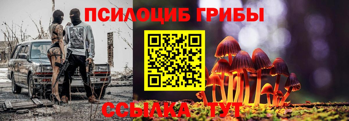Псилоцибиновые грибы Magic Shrooms  Вход с VPN  Галлюциногенные грибы Cubensis  купить   Орехово-Зуево 